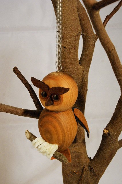 Sova > varianta sv. hnědá