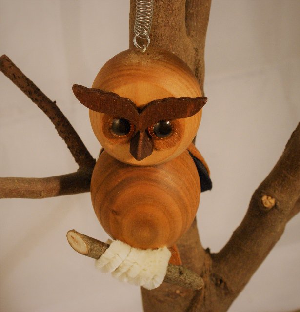 Sova > varianta sv. hnědá