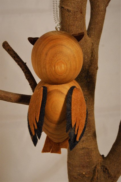 Sova > varianta sv. hnědá