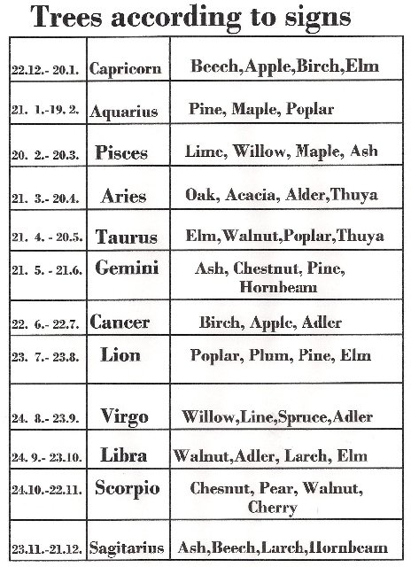 Klíčenky - mix druhů, tvarů a velikostí!!! > Do dlaně