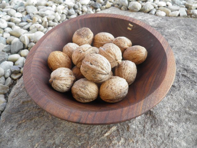 Mísa ze dřeva - na oříšky > varianta oř-oř