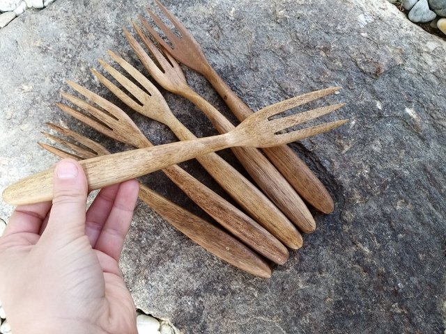 5+1 ZDARMA - ořešák vlašský vidlička > varianta ořešák vlašský